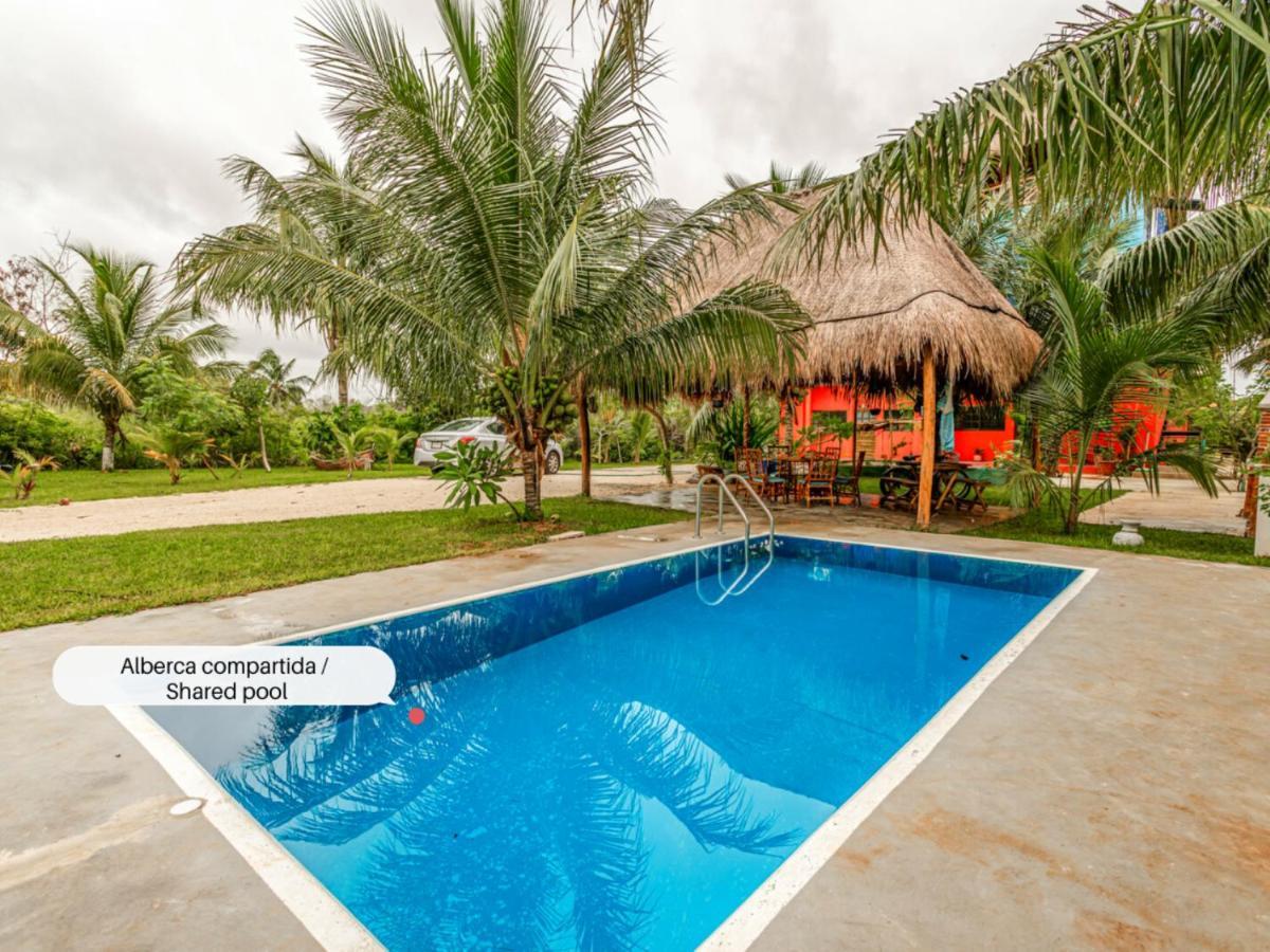 Ferienwohnung Hostpal Experiencia En El Manglar Chelem Exterior foto